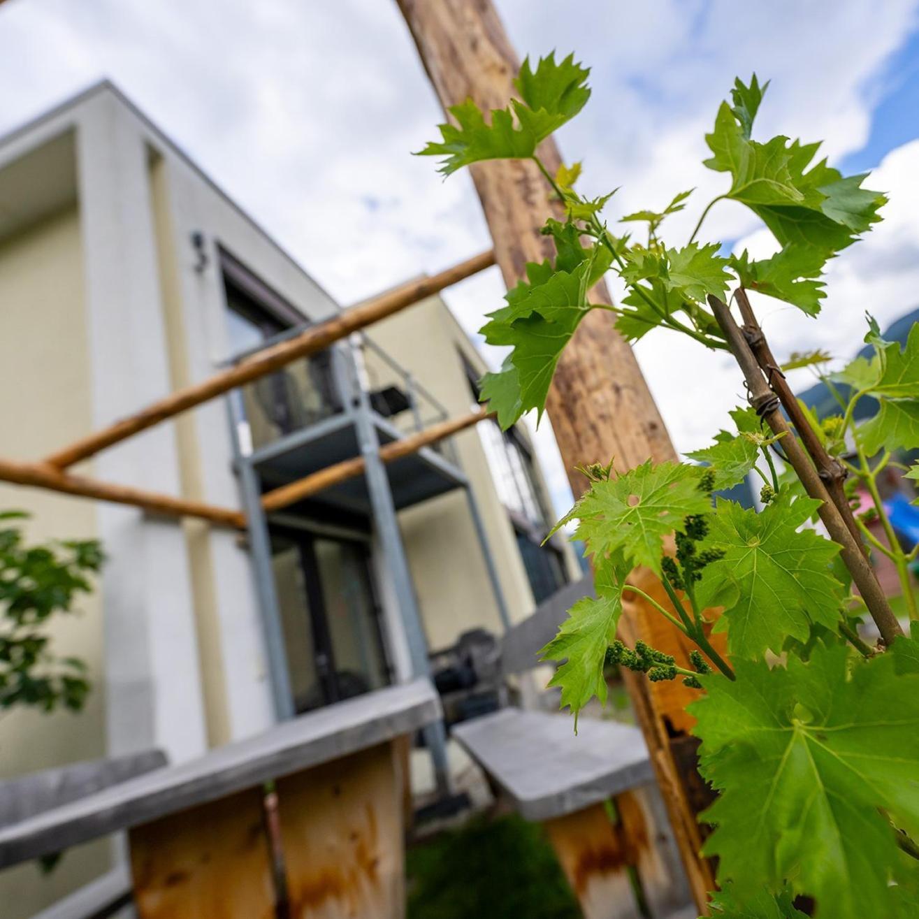 Ferienwohnung Biohof Gala Naturns Exterior foto